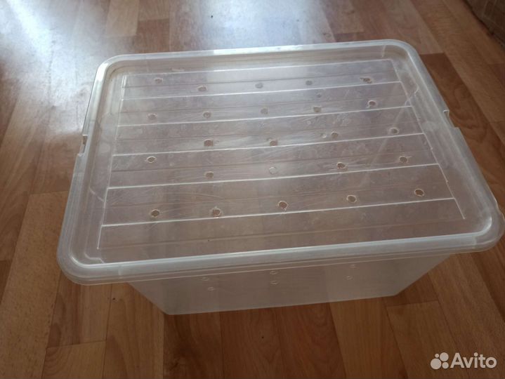 Контейнер для улиток