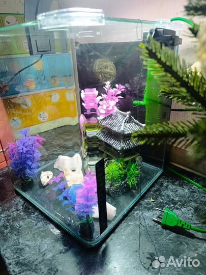 Аквариум Dennerle NanoCube 20L