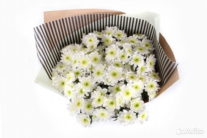 Букет из белых хризантем (про-во Голландия)