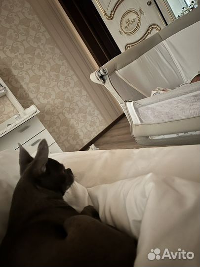 Приставная кровать детская jane concord