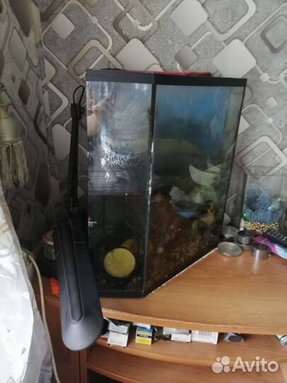 Аквариум