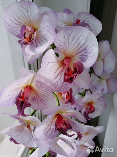 Цветы искусственные орхидея фаленопсис