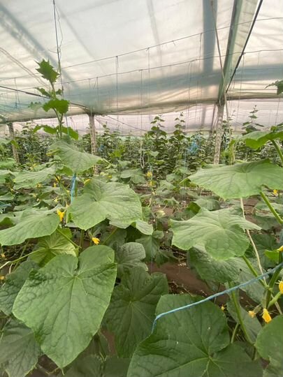 Производство, 2296 м²