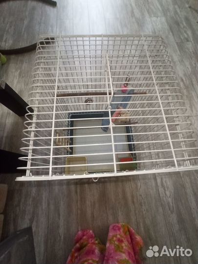 Большая клетка для попугая бу 44*44*65