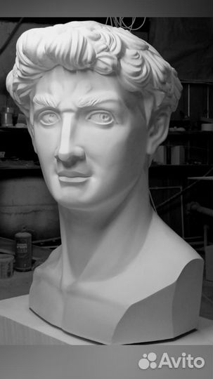 Голова Давида продам,сдам в аренду