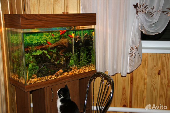 Аквариум+тумба