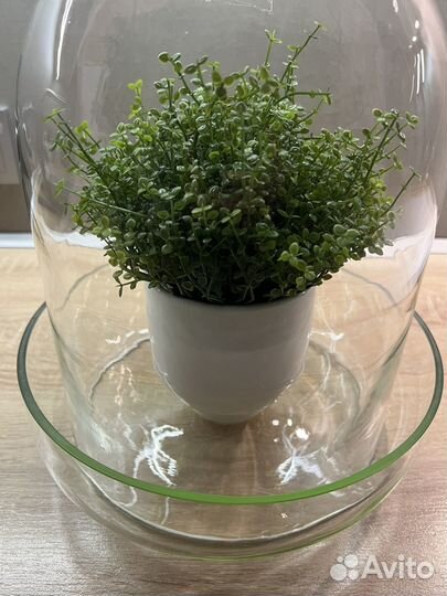 Флорариум 42 см/26см