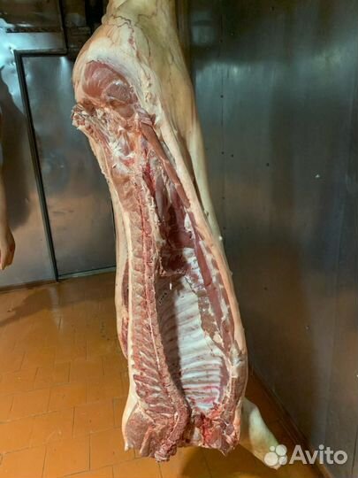 Мясо свинина оптом