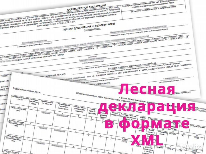 Лесная декларация в формате XML по приказу № 303