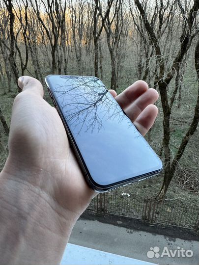 iPhone X, 256 ГБ