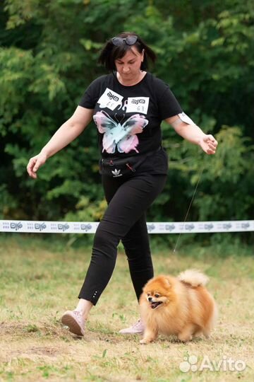 Чемпион для вязок