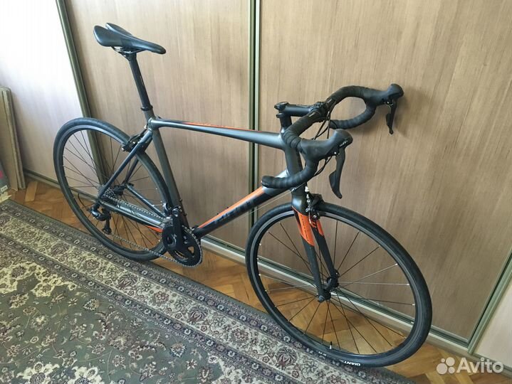 Giant Contend 1 (Ростовка L 183-193 cm)