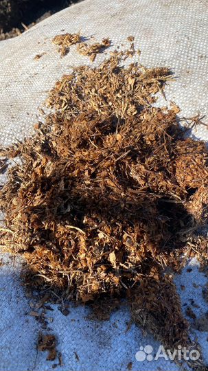 Перегной древесный