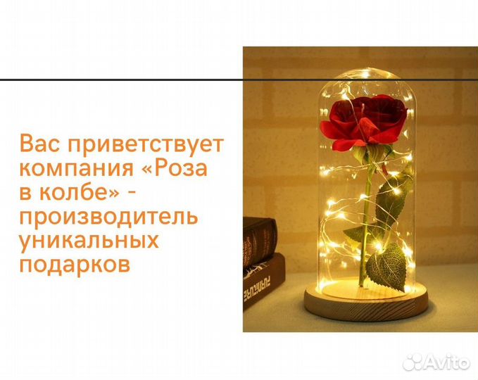 Роза в колбе живая