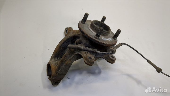 Ступица (кулак, цапфа) Ford Fiesta, 2004