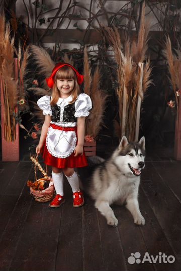 Прокат костюмов для съемки