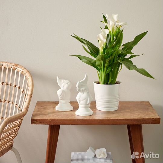 Кашпо икеа Мускот