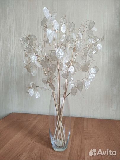 Лунария (лунник) сухоцвет букет