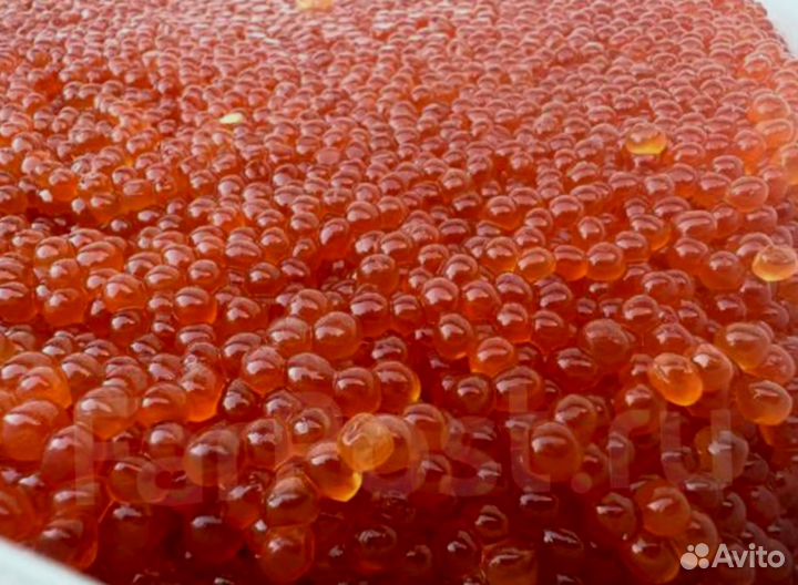 Красная икра оптом