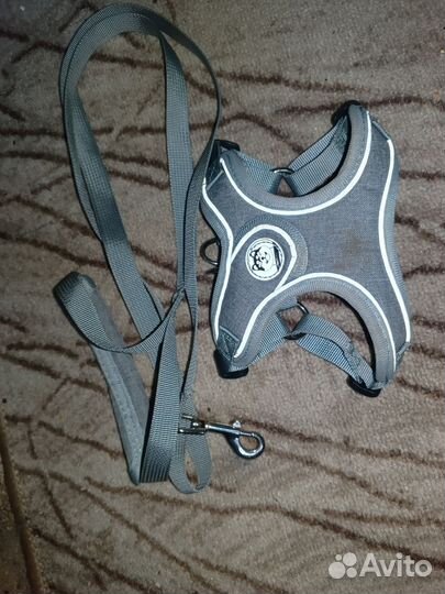 Шлейка для маленьких собак и кошек