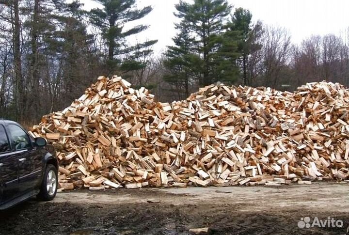 Дрова с Выборга