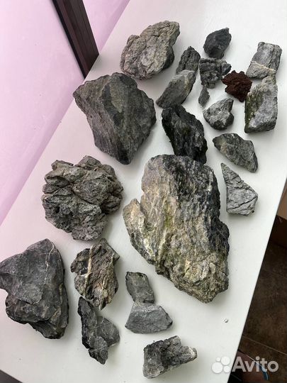 Для аквариума