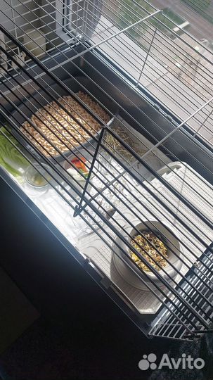 Клетка для морской свинки/кролика