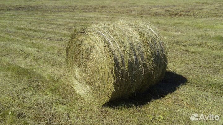 Сенаж, сено