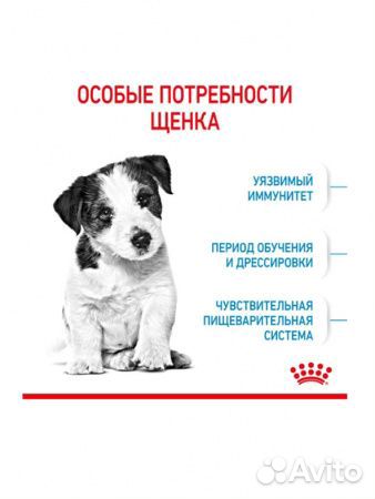 Корм Роял Канин для щенков мелких пород 2-10 мес