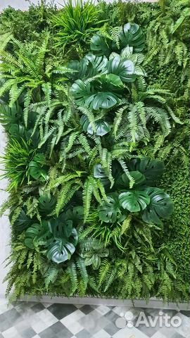 Озеленение интерьера, ресторанов, квартир