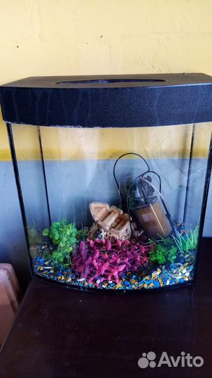 Аквариум с принадлежностями