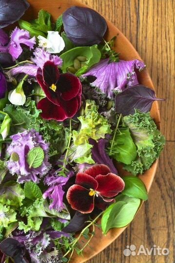 Беби-зелень. Беби-лиф. Беби-лист. Эко свежесть