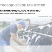 Животноводческое агентство в городе, Тбилиси