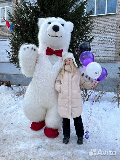 Танцующий Белый мишка Поздравление Аниматор