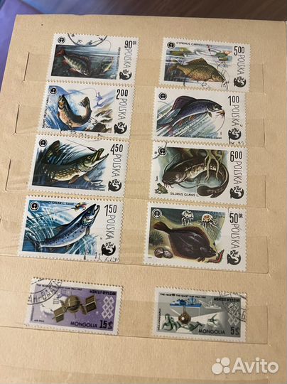 Большая коллекция разных марок