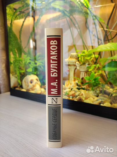 Собачье сердце Булгаков