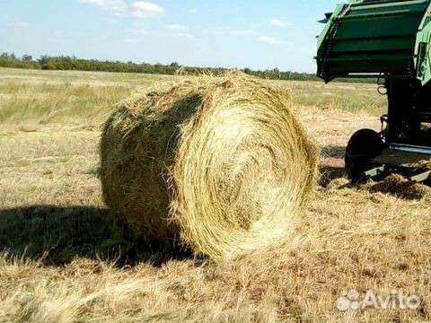Сего в рулонах 145 пресс