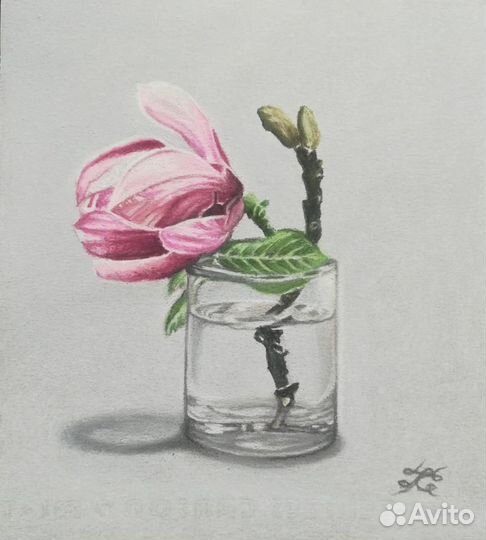 Картина сухой пастелью Цветок магнолии