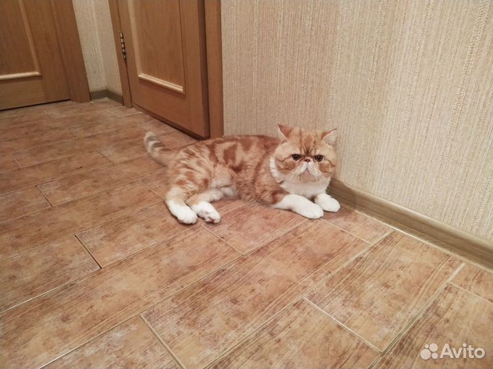 Очаровательный мальчик