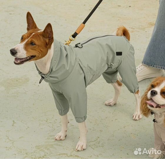 Комбинезон для собаки