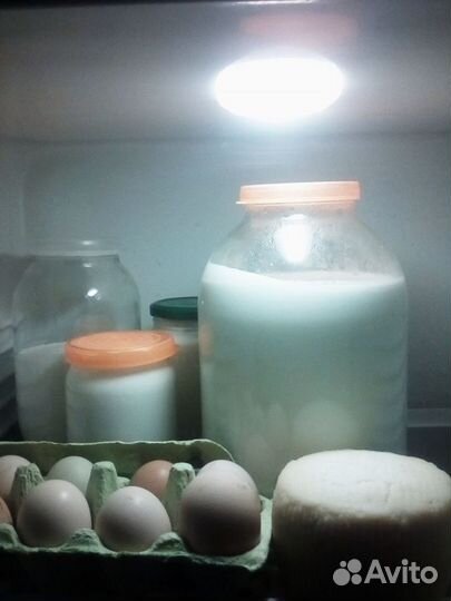 Домашние куриные яйца,молоко,сыр,творог,масло