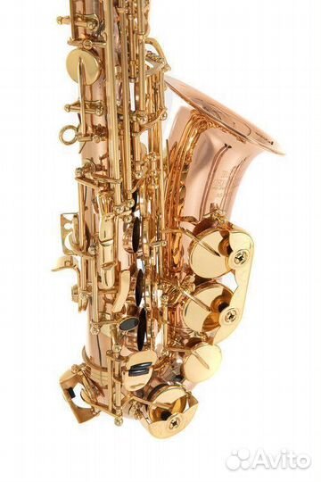 Саксофон альт Roy Benson AS-202G