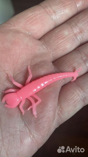 Приманка нимфа личинка стрекозы