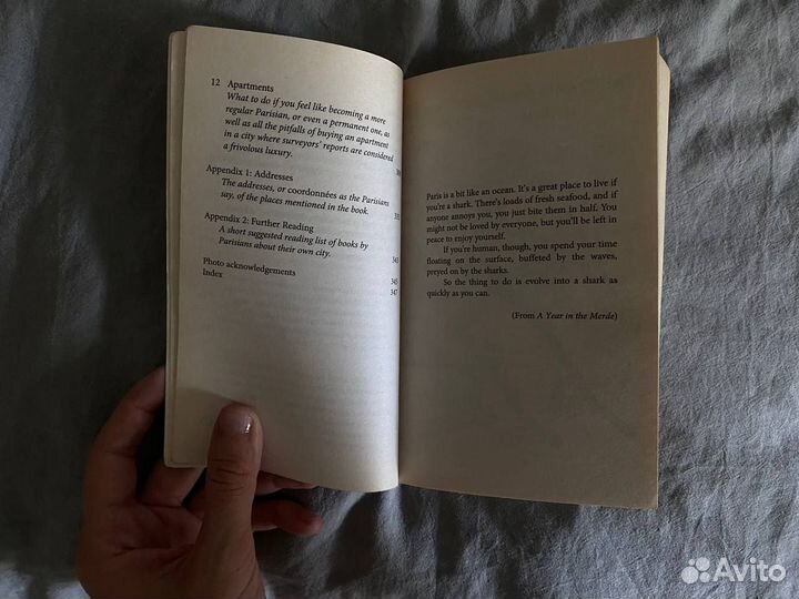 Книга на английском языке о Париже