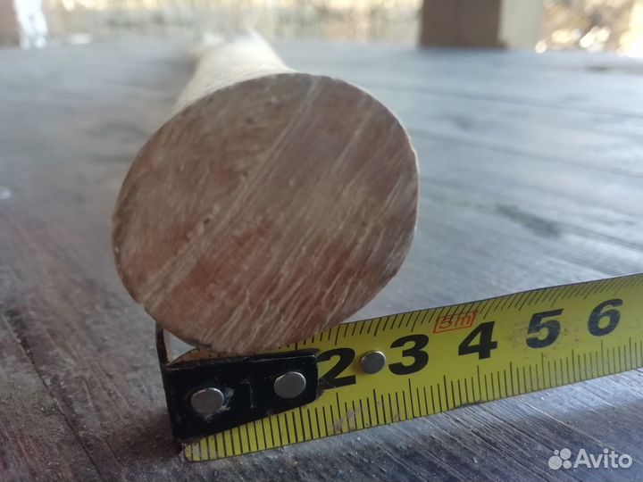 Самшит 120см прямой