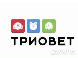 Ассистент ветеринарного врача