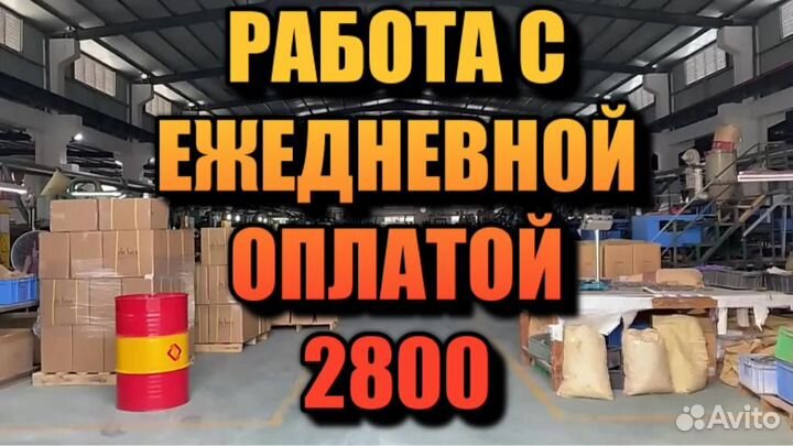 Грузчик с ежедневной оплатой