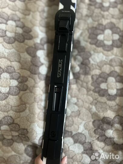 Горные лыжи