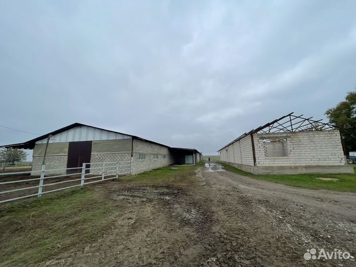 Ферма сельскохозяйственная