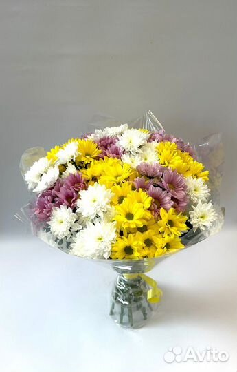 Букет из 15 кустовых хризантем